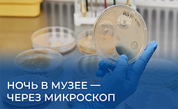 Ночь в музее — через микроскоп