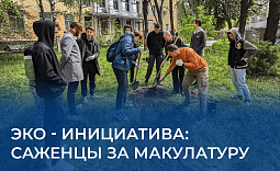 Эко-инициатива: саженцы за макулатуру